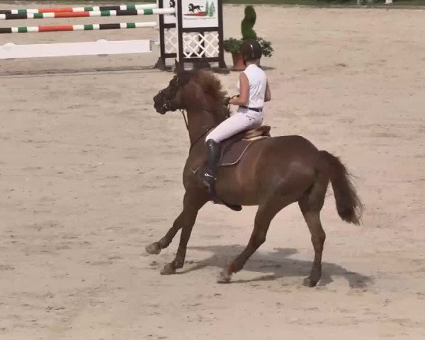Reitturnier Waldachtal-Heiligenbronn 2015