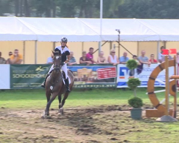 Reitturnier Holdorf 2015