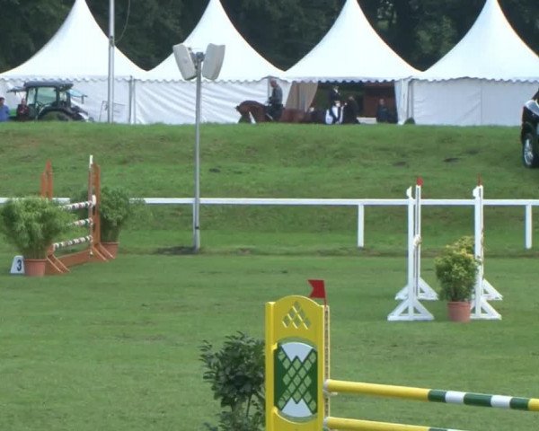 Schenefelder Sommerturnier 2015 - Horse & Classic
