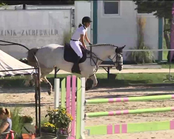 Reitturnier Waldachtal-Heiligenbronn 2015