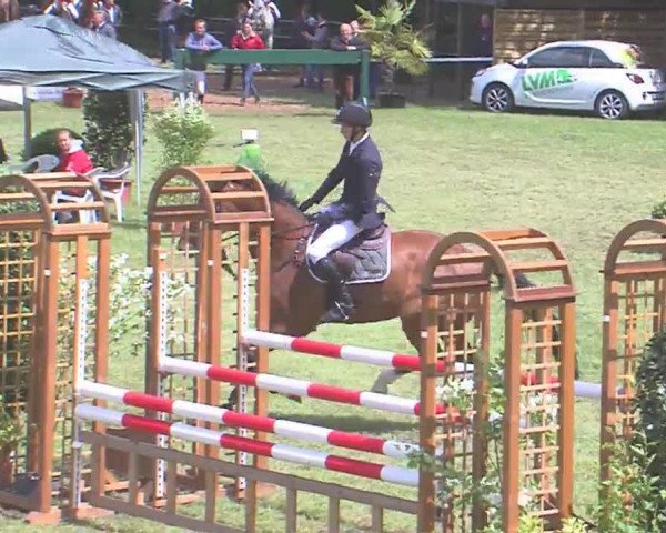 Reitturnier Tasdorf 2016