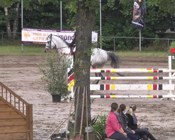 Reitturnier Wiesloch 2016