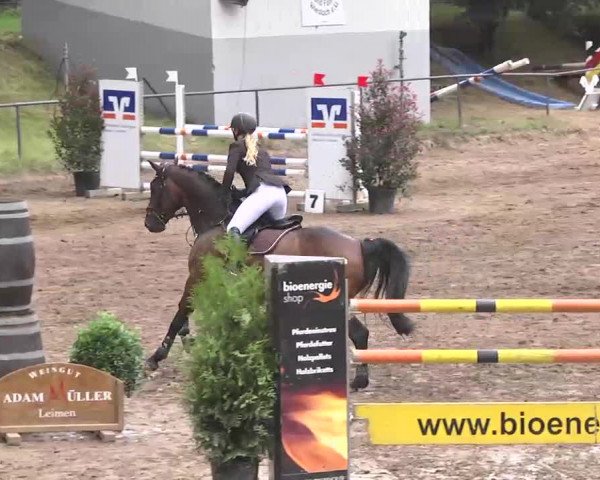 Reitturnier Wiesloch 2016