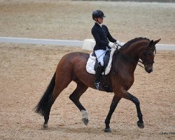 broodmare Quadriga's Diamantissima (Oldenburg, 2011, from Diamond Hit)