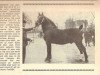 stallion Gruson 2763 (Oldenburg, 1917, from Gambo 2517)
