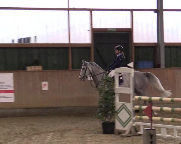 Reitturnier Velen 2018