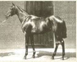 broodmare Roquebrune xx (Thoroughbred, 1893, from Saint Simon xx)