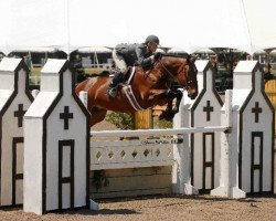 stallion Magic Darco (KWPN (Royal Dutch Sporthorse), 1994, from Darco)