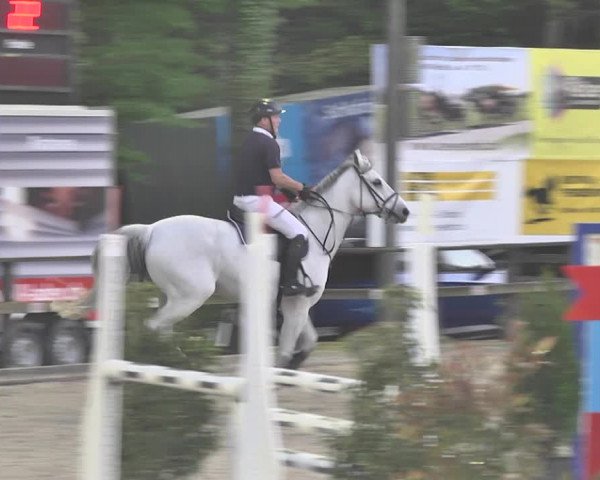 Reitturnier Sins-Attenschwil 2018