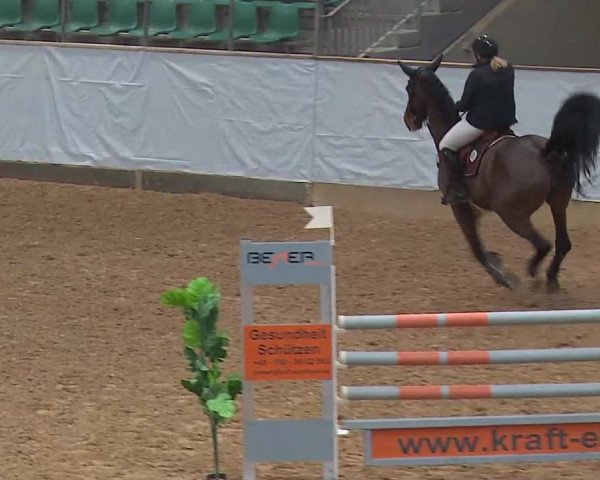 Springturnier Kreuth 2022