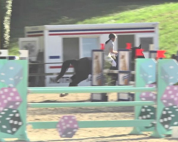 Reitturnier Sins-Attenschwil 2018