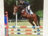 broodmare Cor Centa (Oldenburg show jumper, 2008, from Cento)