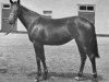 broodmare Sariegal xx (Thoroughbred, 1956, from Hill Gail xx)