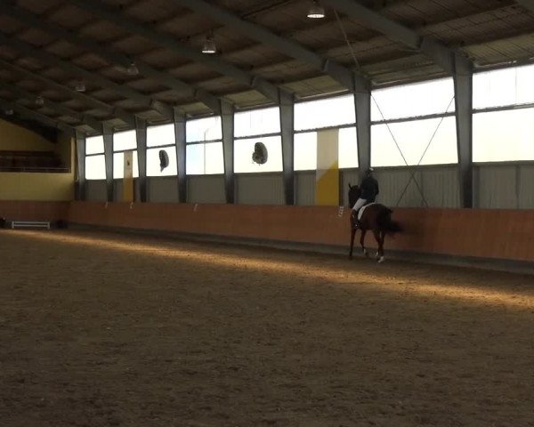 Reitturnier Frechen-Grefrath - Sonnenhof 2018