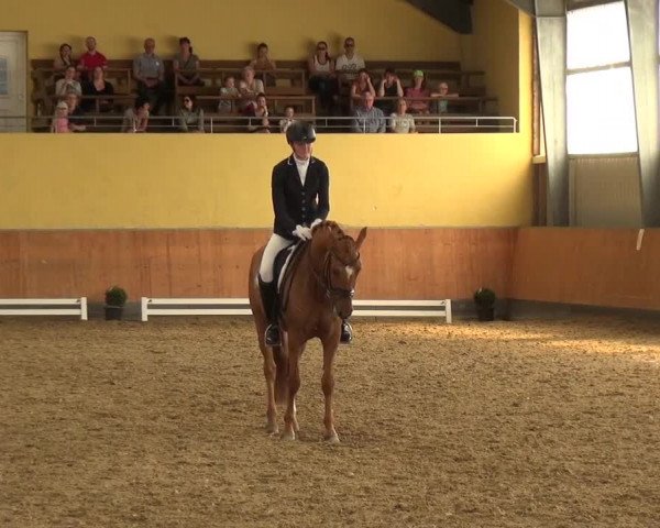 Reitturnier Frechen-Grefrath - Sonnenhof 2018