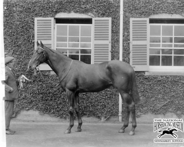 stallion Figaro xx (Thoroughbred, 1930, from Colorado xx)