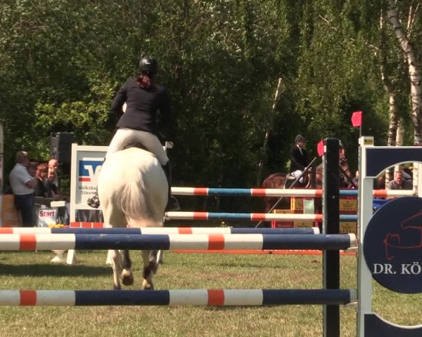 Reitturnier Kreuzkrug 2018