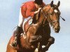 stallion Largo Z (Hanoverian, 1973, from Lasso)