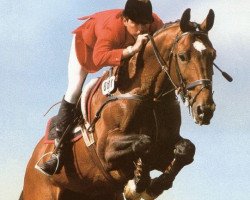 stallion Largo Z (Hanoverian, 1973, from Lasso)