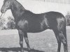 stallion Master xx (Thoroughbred, 1955, from August xx)