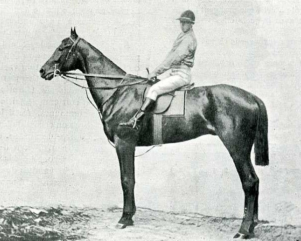 stallion Gladiateur xx (Thoroughbred, 1862, from Monarque xx)