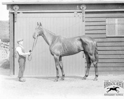 horse Eremon xx (Thoroughbred, 1900, from Thurles xx)