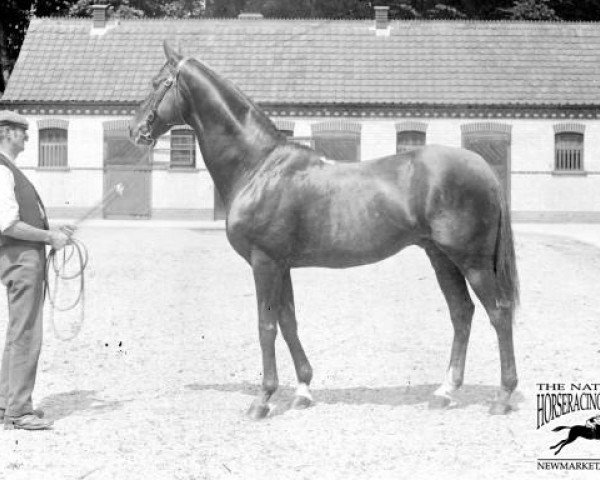 horse Epsom Lad xx (Thoroughbred, 1897, from Ladas xx)