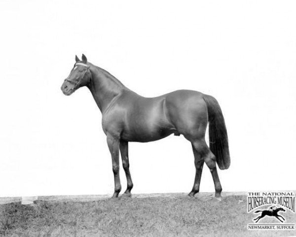 stallion Diamond Jubilee xx (Thoroughbred, 1897, from Saint Simon xx)