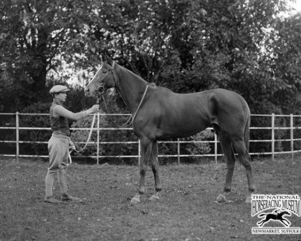 broodmare Double Life xx (Thoroughbred, 1926, from Bachelor's Double xx)