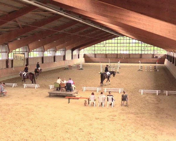 Reitturnier Fröndenberg 2018