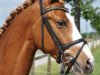 dressage horse Keep on smiling (German Riding Pony, 2005, from Top Karetino)