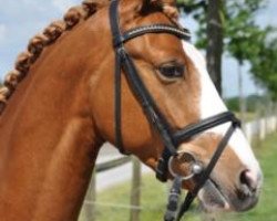 dressage horse Keep on smiling (German Riding Pony, 2005, from Top Karetino)