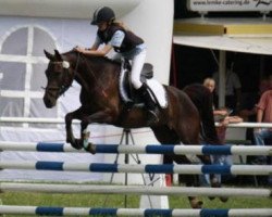 dressage horse Clare 3 (German Riding Pony, 2006, from Night-Dream)