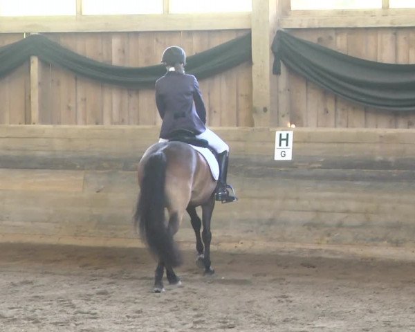 Reitturnier Pellheim-Gerblhof 2018