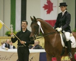 horse Newel ox (Arabian thoroughbred, 1996, from AAF Absolut ox)