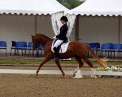 stallion Cliff Curtis (German Riding Pony, 2010, from Cezanne de Luxe)