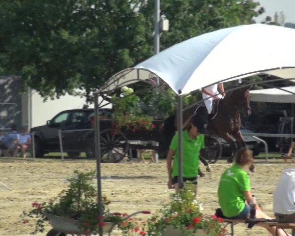 Kreisturnier auf dem Hilgershof 2018