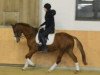 dressage horse Vascino C (German Riding Pony, 1998, from Vento)