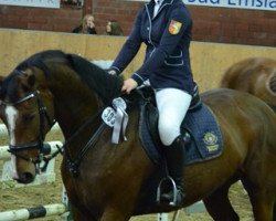 jumper Leonie M (Oldenburg show jumper, 2007, from Böckmanns Lazio)