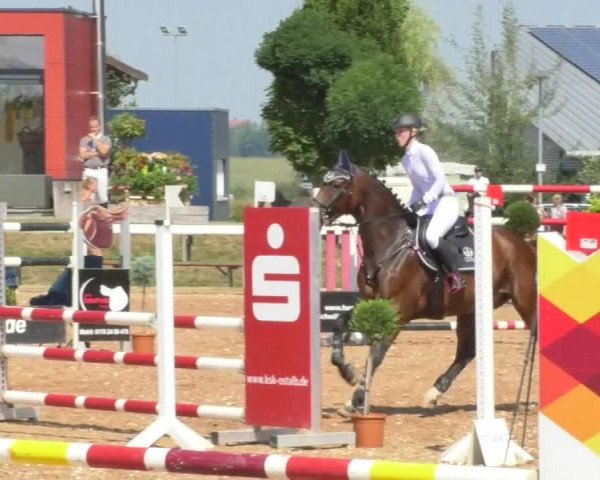 Horse Summer Meeting Jagstzell 2018