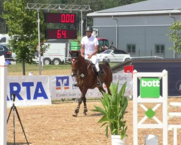 Horse Summer Meeting Jagstzell 2018
