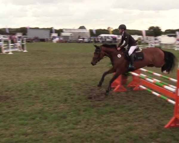 Reitturnier Behrendorf 2018