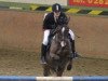 jumper Dindy (German Riding Pony, 2002, from Doodoo)