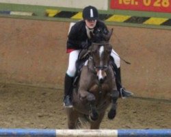 jumper Dindy (German Riding Pony, 2002, from Doodoo)