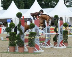 jumper Steendieks Marmaduke (German Riding Pony, 2008, from The Braes My Mobility)