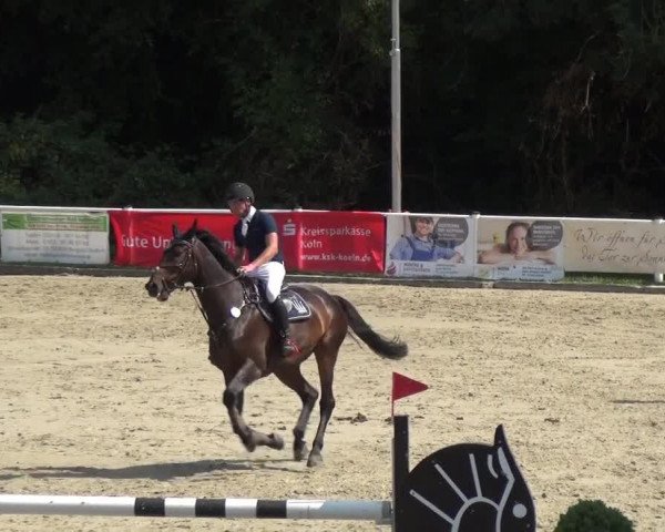 Bergisch Classics - Hebborner Hof 2018
