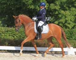 Zuchtstute Cleopatra C (Deutsches Reitpony, 2010, von FS Champion de Luxe)