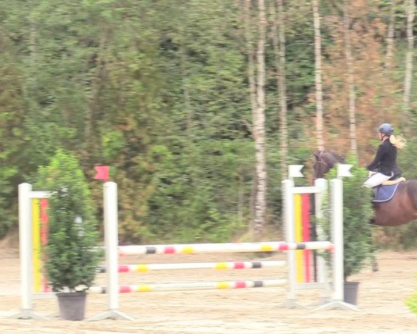 Reitturnier Datteln 2018