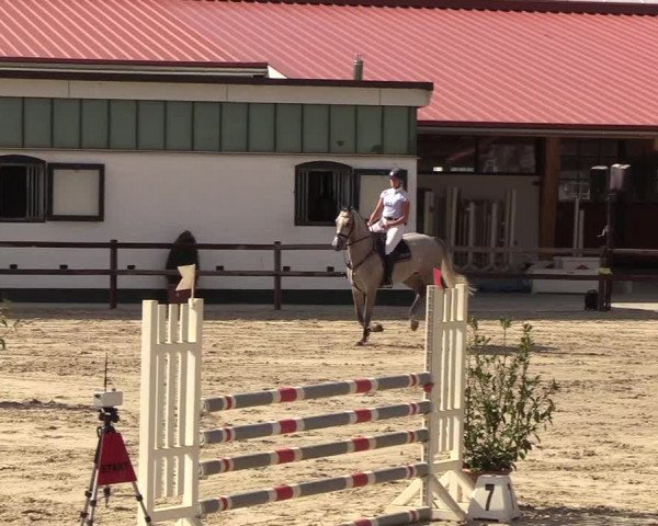 Reitturnier Hamburg-Klein Offenseth/Hell-Stallion-Stud 2018
