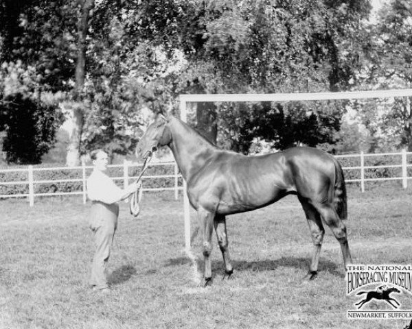 stallion Craganour xx (Thoroughbred, 1910, from Desmond xx)